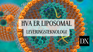 Liposomal leveringssystem: Hva det er og hvordan det fungerer