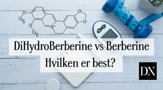 DihydroBerberine vs Berberin for blodsukker & insulin- hvilken er best?