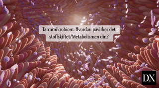 Tarmmikrobiomet: Hvordan påvirker det stoffskiftet/metabolismen din?