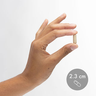 Dr. Mercola - Lumbrokinase Enzymer (90 eller 30 kapsler)