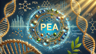 Palmitoylethanolamid (PEA): En naturlig vei til bedre helse