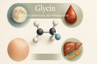 Glycine - Liten aminosyre, stor helsegevinst 
