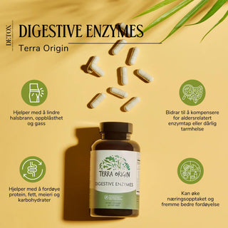 Terra Origin - Digestive Enzymes (enzymer for fordøyelse)