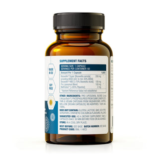 MCS FORMULAS - Boswellia MEGA AKBA Liposomal (60 kapsler)