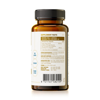 MCS Formulas - Gingerols 20% (60 kapsler)